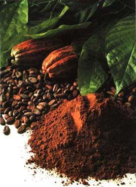 Cacao