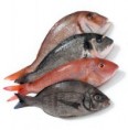 Pesce